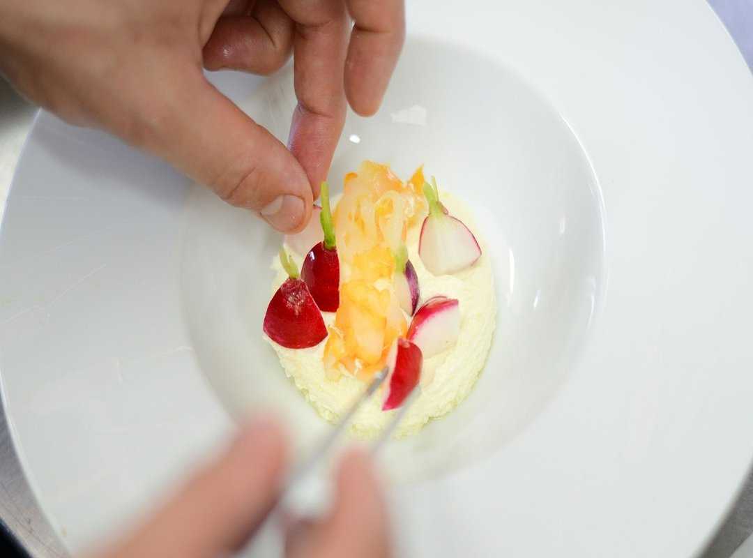 molecular gastronomy at home